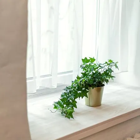 Silent Old Town Studio By Houseys Apartment *